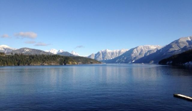 Earls Cove Orca View