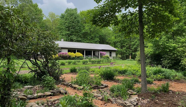 Eco Wellness Flower Farm Retreat with Garden Sauna