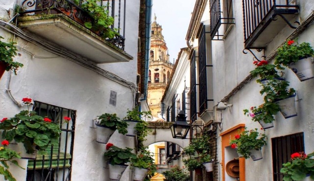 El Califa Apartment - 3 Rooms ⭐⭐⭐⭐