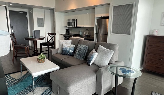 Executive Luxury 2 bed Spacious Downtown WIFI laundry