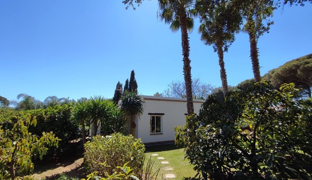Finca la Hijuela, Casa Azahar Andalucía; Cádiz; Vejer de la Frontera;