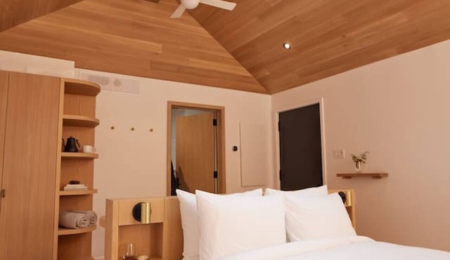 Forest Reset at Dimensions | Cabin Fourteen