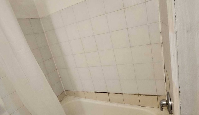 Fully furnished 1 bedroom apartment at Kingston and Warden in Toronto