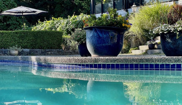 Games Studio Suite + shared Pool & Hot Tub