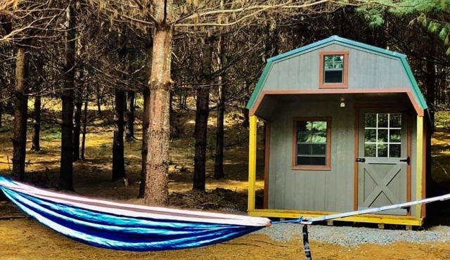Gavin Cabin