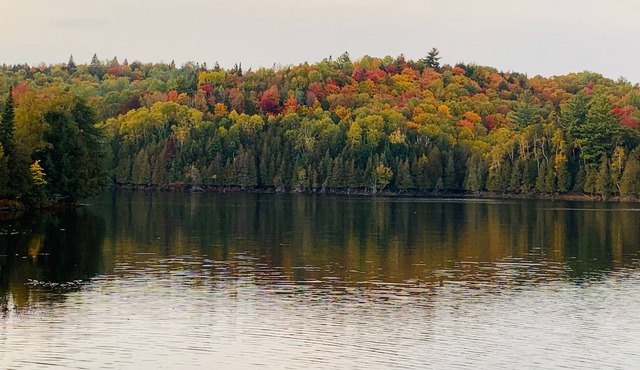 Hartwell House- Your Destination Laurentian Lakeside Retreat CITQ# 303801