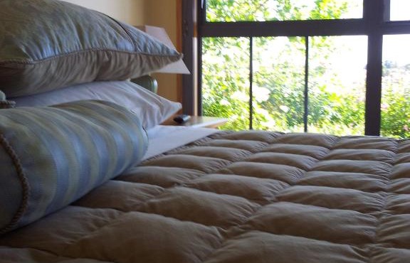 Hawkdun Rise Vineyard & Accommodation