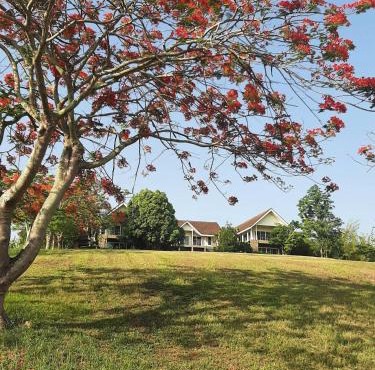 Hilltop Chiang Rai Retreat