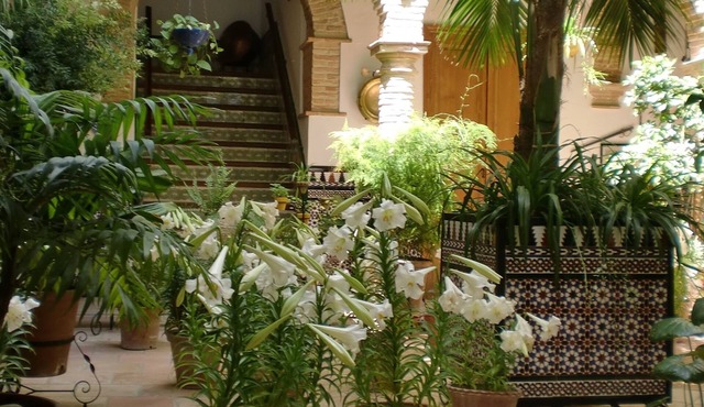 Hostal Comercio