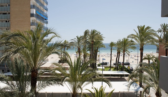 Hotel El Palmeral