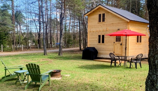 Loft Pine Cabin with Lake and Crown Land Access | Dog-Friendly