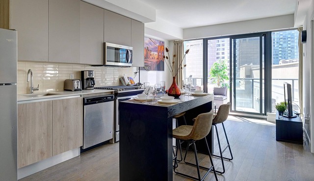 Luxurious Brand New 2 BDRM 2 Bath Condo Downtown Toronto