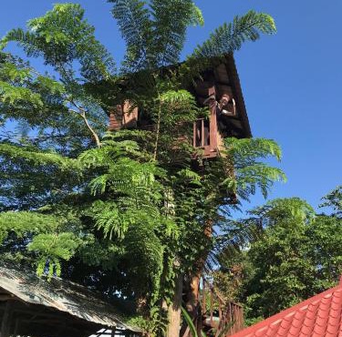 Mae Chan Treehouse with swimming pool