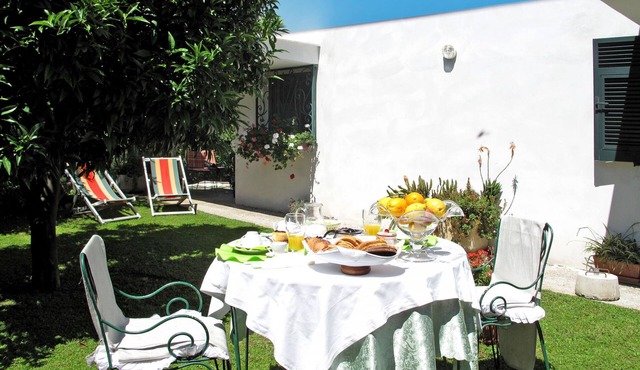 Mandarino by Interhome