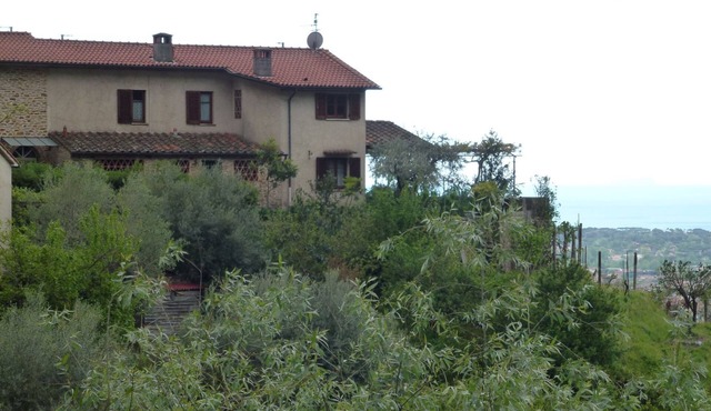 mit Blick auf das Wasser by Interhome