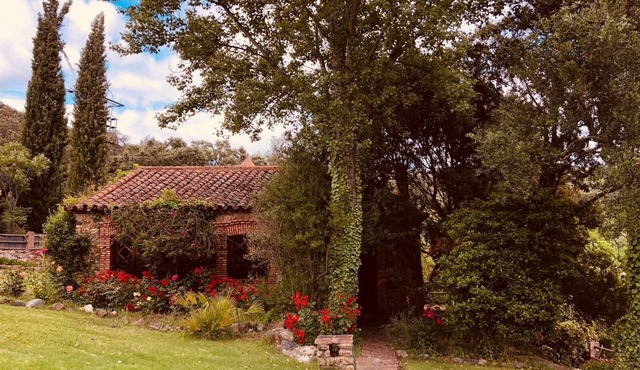 Molino Río Alájar (La Zoya)