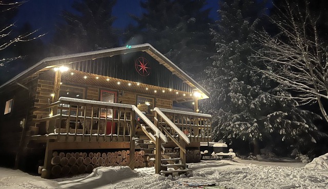 Muskoka Getaway Cabin - relax, snowshoe, cross country ski and unwind