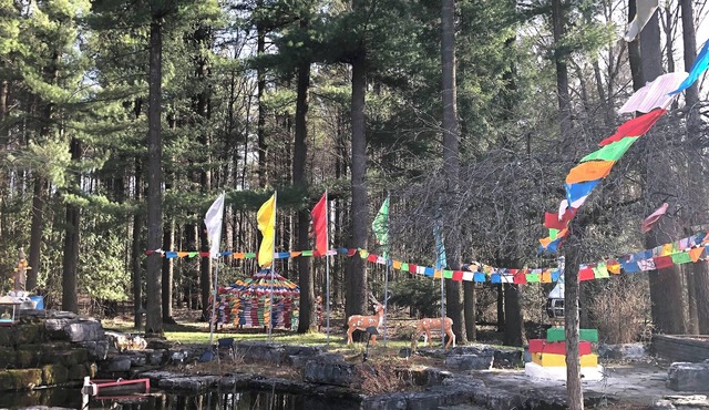 Natural relax experience in heart of the forest with swimming pool & open space