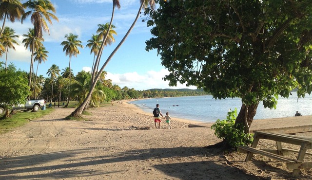 Nest Boqueron #2: 1B/1B, sleeps 2, Wi-fi, A/C, kitchenette