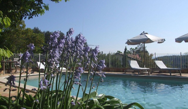 Nice apartment for 4 guests with pool, WIFI, TV and patio
