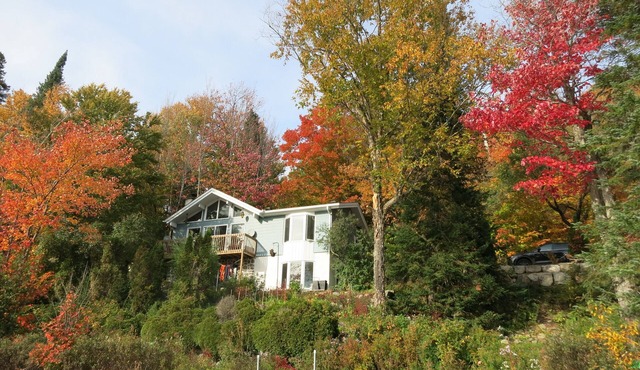 Oasis South facing Lakefront Cottage, minutes from forest trails and ski hills