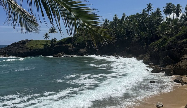 Ocean Breeze Oasis: 1BR Getaway Near the Shore