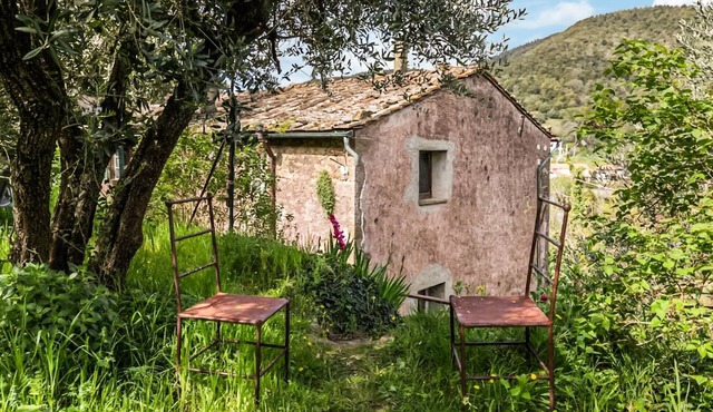 Pet friendly apartment in Montecatini Val di Cec
