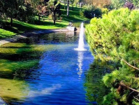 Pradera San Isidro 1