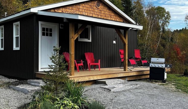Relax at Cozy Cabin near Algonquin, 2 Bedroom, WIFI, large yard w/firepit