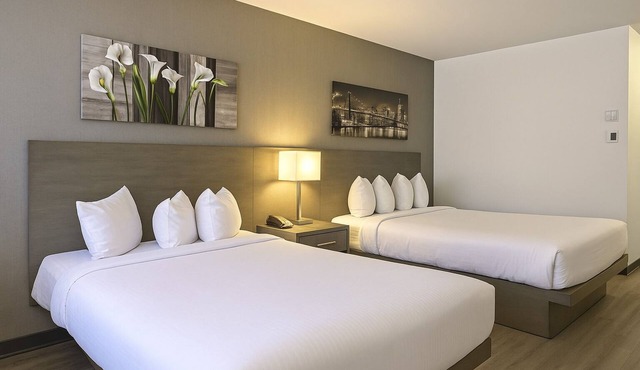 Repotel Levis