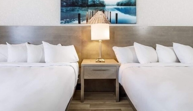 Repotel Levis