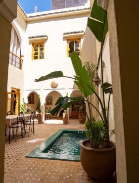 Riad Saadaoui