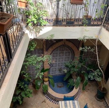 Riad Zinnha 2