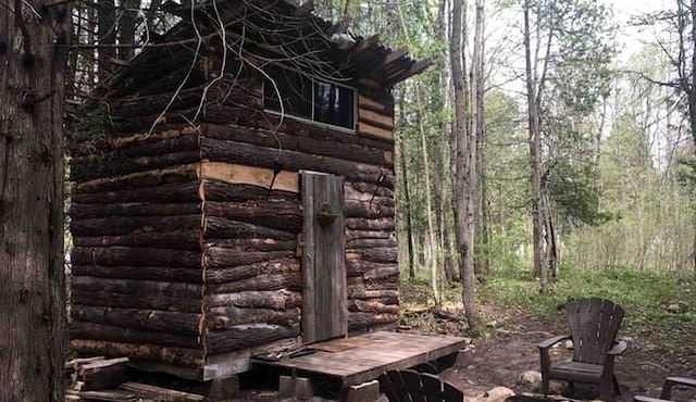 Rural Cabin Surrounded by Beautiful Nature in Ontario