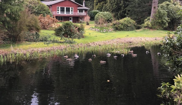 Rustic Waterfront Home on 1.2 Acres