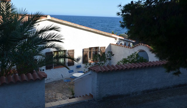 Seafront house on large property (pet friendly)