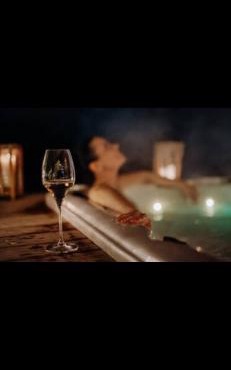 SEAS THE DAY Hottub Pets Private Suite Beaches