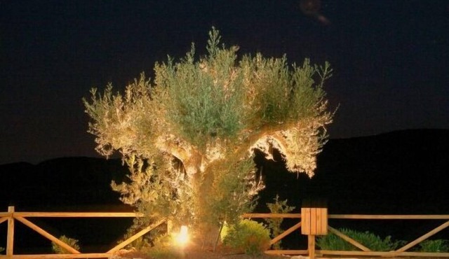 Self catering Sol de Taberno for 6 people