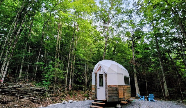 Stargazing Cabin with River Access