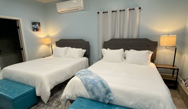 Stellar Jay Suite