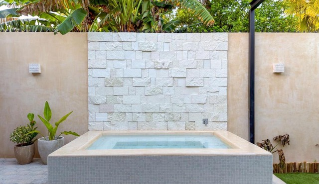 Suite Premium con piscina privada en Valladolid - Penca Leonor 12
