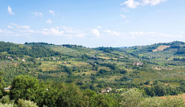 Surrounded by the beautiful Tuscan countryside ? enjoy this vacation apartment in Molino del Piano.