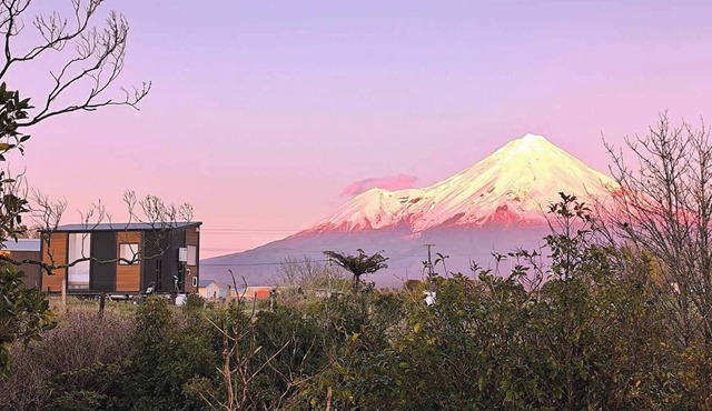 Taranaki Creekside KIWI by Tiny Away