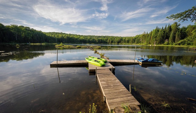 The 22 | Lakefront Cabin - Hot Tub, High-Speed Wifi, Work Friendly, Nature