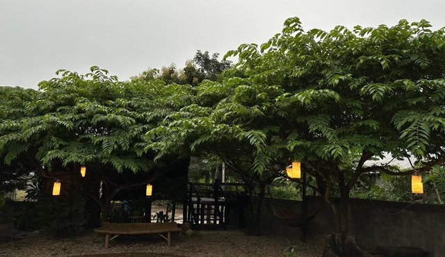 The Legend Homestay.