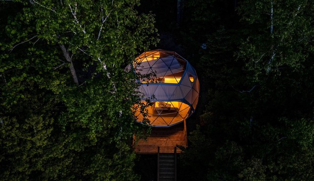 The Nest at Bellevue