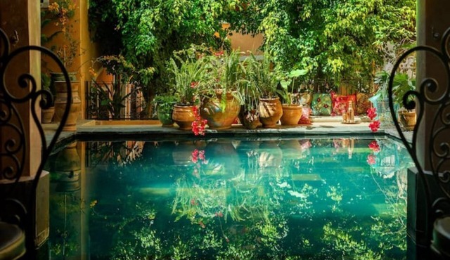 The Tangier Room: Garden View Patio: Riad Roxanne