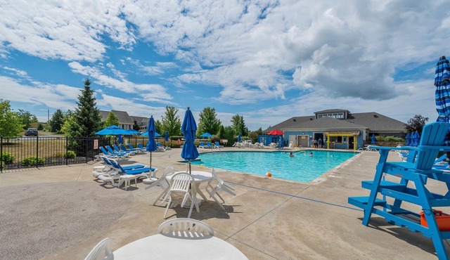 The Warbler - 12 Meadowview