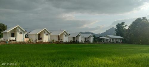 Tiny house homestay & cafe 5 units