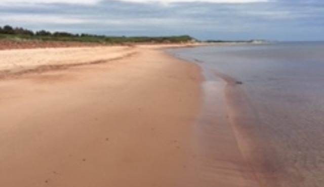 Tiny Perfect Cottage On PEI's North Shore in Cable Head West
